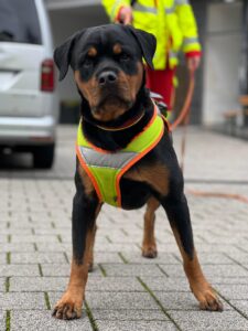 Rettungshundestaffel Glan-Blies e.V.