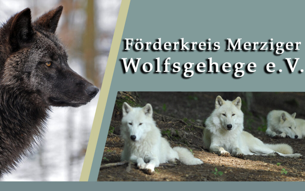 Logo Förderkreis Merziger Wolfsgehege e.V.